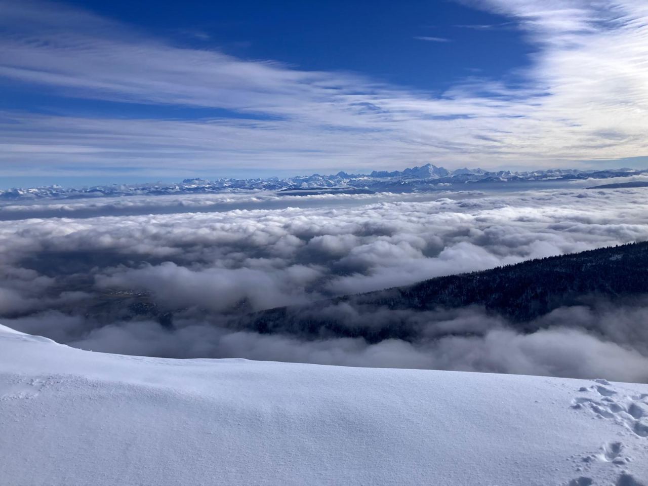 Vue plein sud — les Alpes émergent de la couche nuageuse